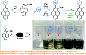 Cover image for Palladium catalysed C–H arylation of pyrenes: access to a new class of exfoliating agents for water-based graphene dispersions